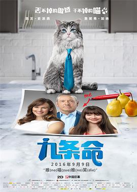 勾当2红色骆驼
