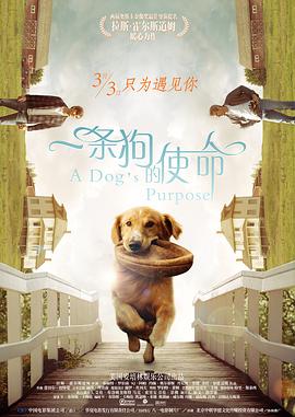 灯草花和尚