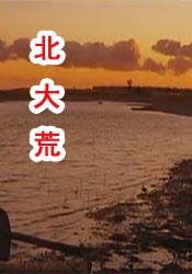 老湿机视频