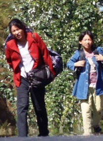 久草视频大全