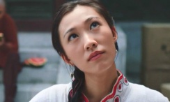 狗的风格和交流