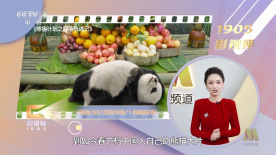 91探花国产综合在线精品